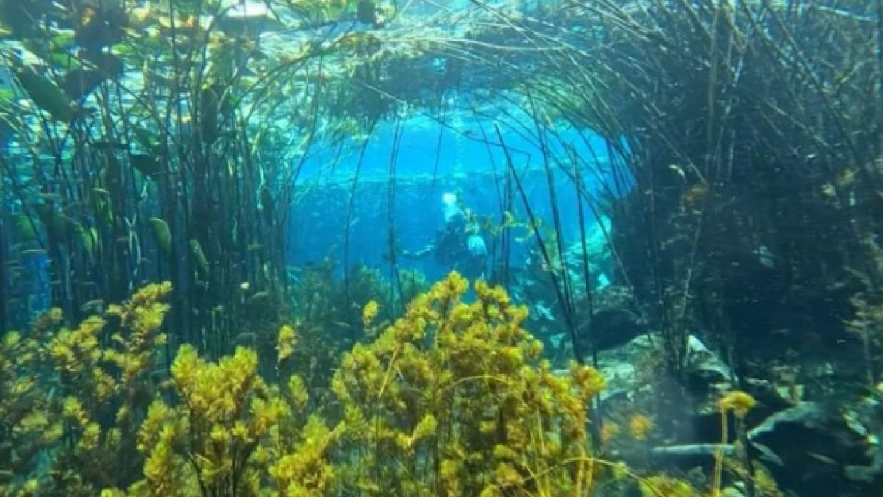 Foto - Antalya’nın can damarı atıkla dolu! İçme suyu krizi büyüyor