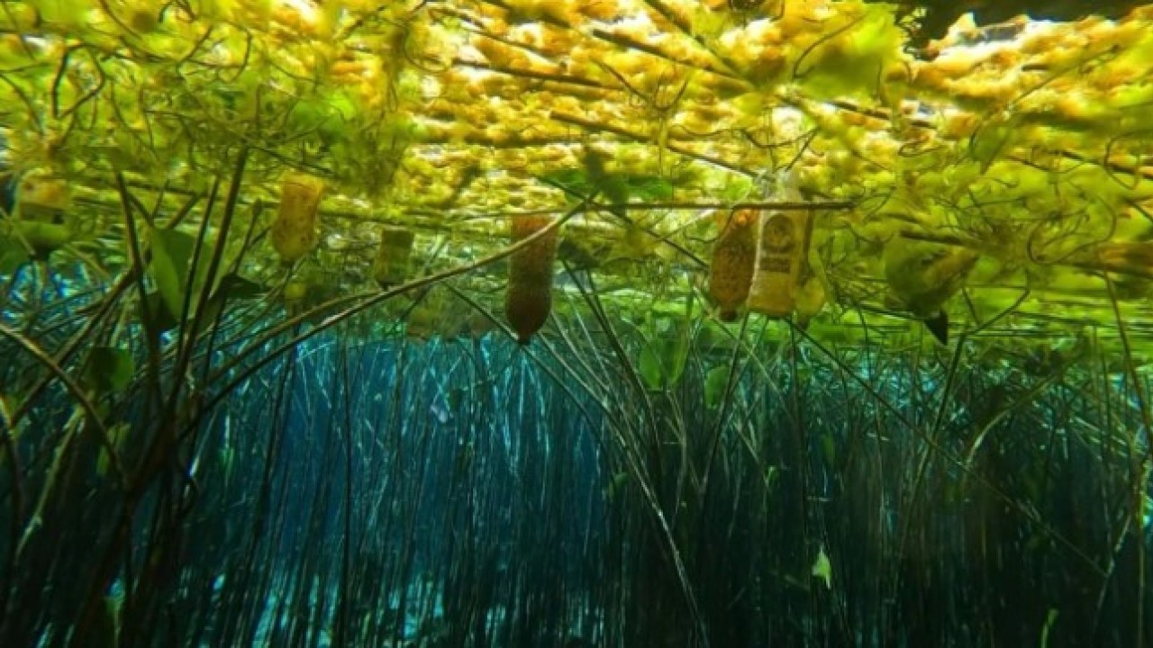 Foto - Antalya’nın can damarı atıkla dolu! İçme suyu krizi büyüyor