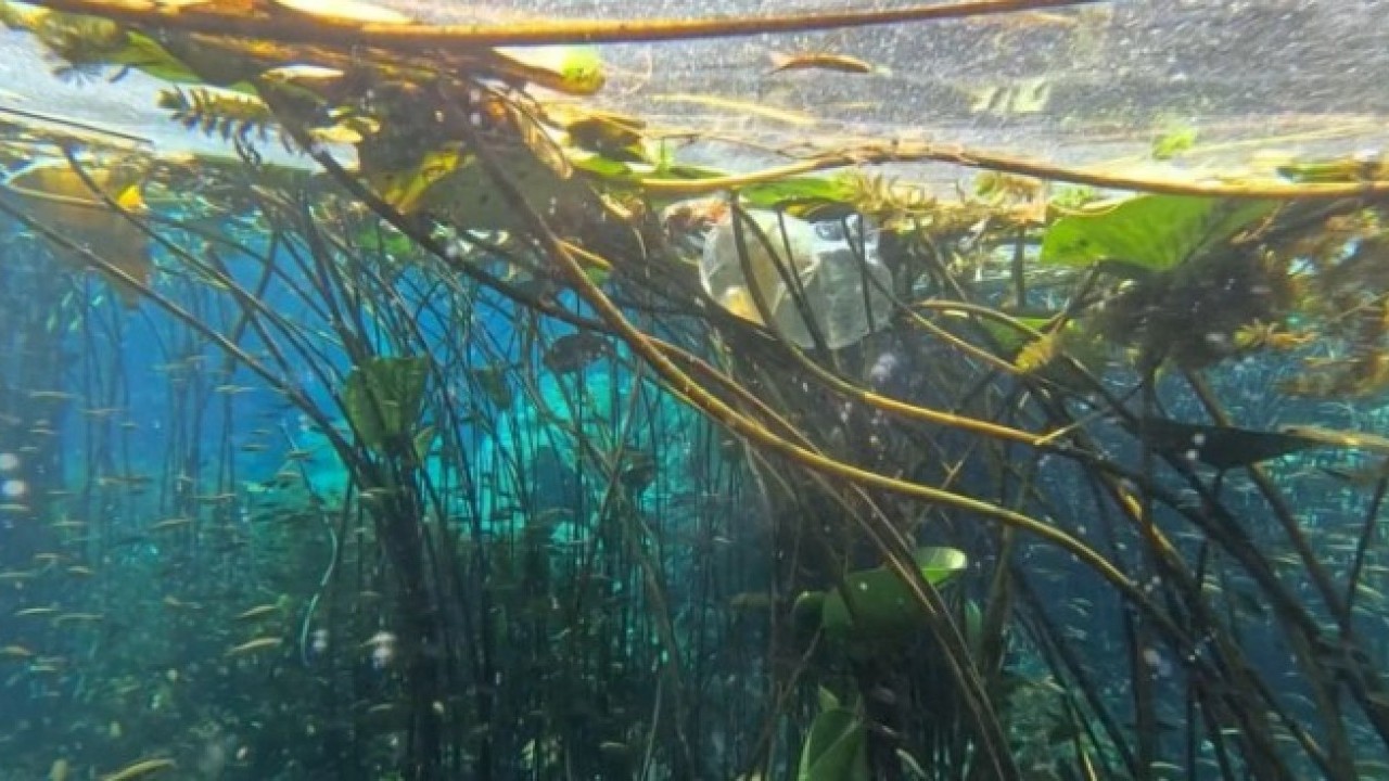 Foto - Antalya’nın can damarı atıkla dolu! İçme suyu krizi büyüyor