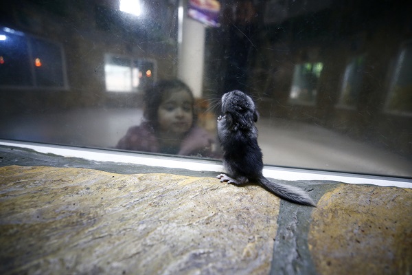Foto - Antalya’nın yeni maskotu: Hera