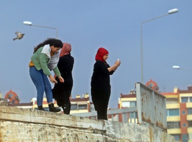 Foto - Antalya'yı istila ettiler! Görenler telefonuna sarıldı
