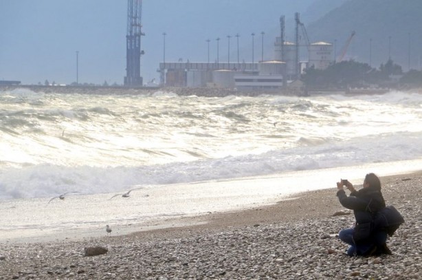 Antalya'yı istila ettiler! Görenler telefonuna sarıldı