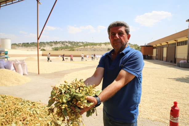 Foto - Antep fıstığı borsası buradan belli oluyor!