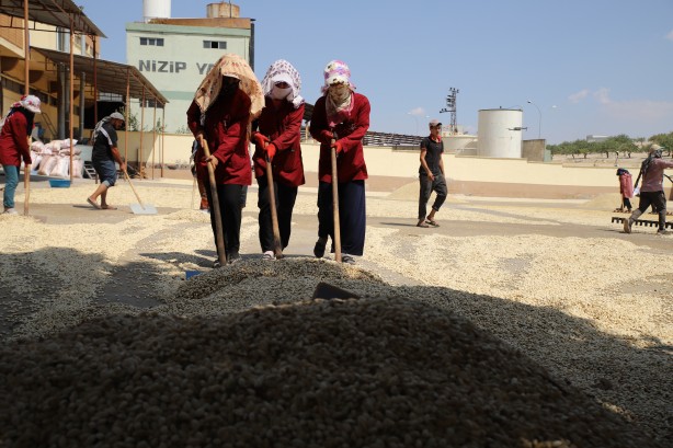 Foto - Antep fıstığı borsası buradan belli oluyor!