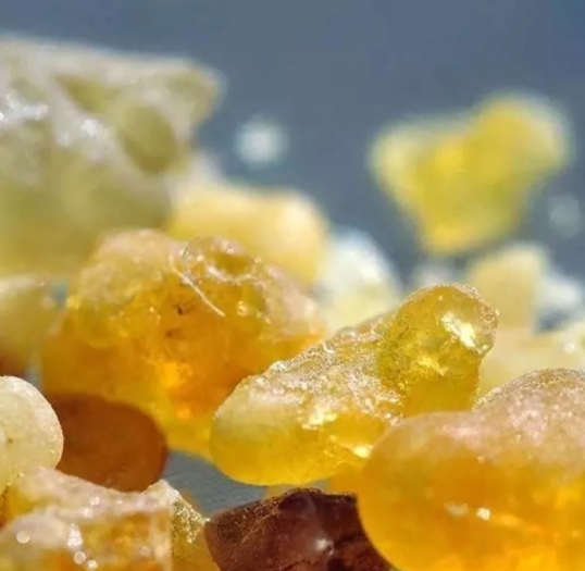 Foto - Antibiyotik almaya son! İşte iltihaba meydan okuyan bitki