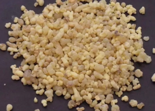 Foto - Antibiyotik almaya son! İşte iltihaba meydan okuyan bitki