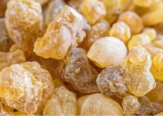 Foto - Antibiyotik almaya son! İşte iltihaba meydan okuyan bitki