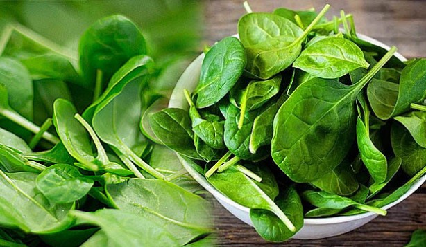 Foto - Antibiyotik etkisi gösteren olağanüstü besinler: İlk sıraya yükseldi! Saf dışı bırakan önemli özelliğini kimse bilmiyor