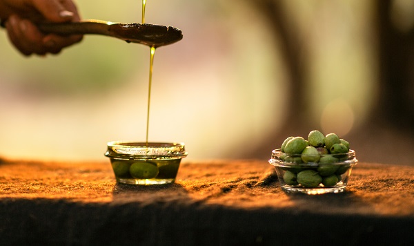 Foto - Antik dönemden günümüze lezzeti ulaşan meşhur Derik zeytini! İlk ağaç milattan önce 77’de dikilmiş!
