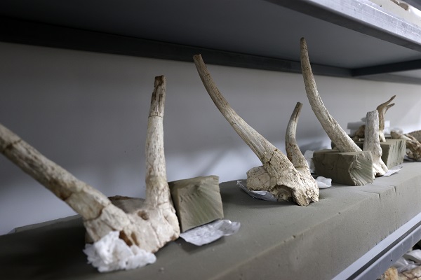 Foto - Antik kentler tek tek gün yüzüne çıkarılıyor