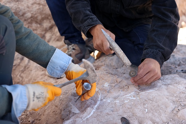 Foto - Antik kentler tek tek gün yüzüne çıkarılıyor