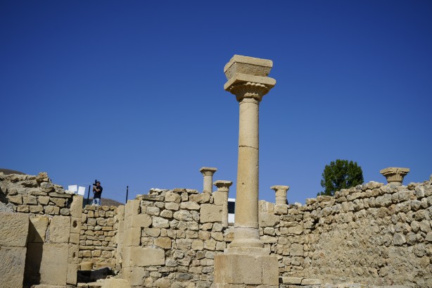 Foto - Antik Kentte Anadolu’nun tarihini değiştirecek keşifler! Dünyaca ünlü arkeologlar o ilimizde toplandı