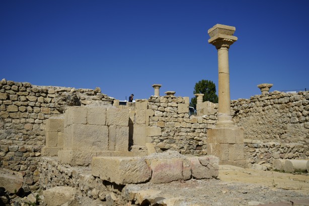 Foto - Antik Kentte Anadolu’nun tarihini değiştirecek keşifler! Dünyaca ünlü arkeologlar o ilimizde toplandı