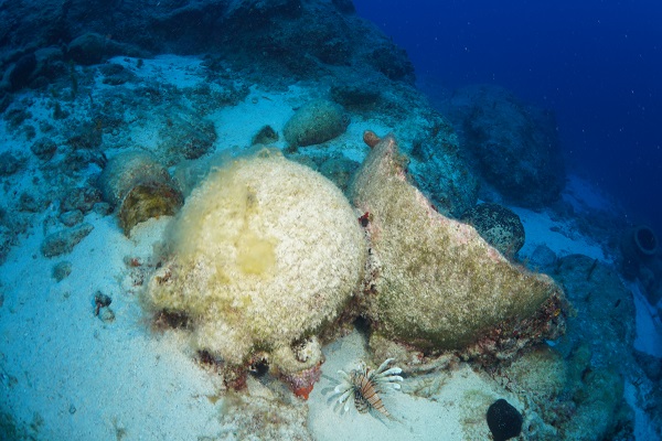 Foto - Antik Likya bölgesinde keşif çalışmaları