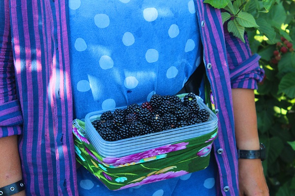 Foto - Tam bir şifa deposu! Bu meyve kanser hastalığına deva