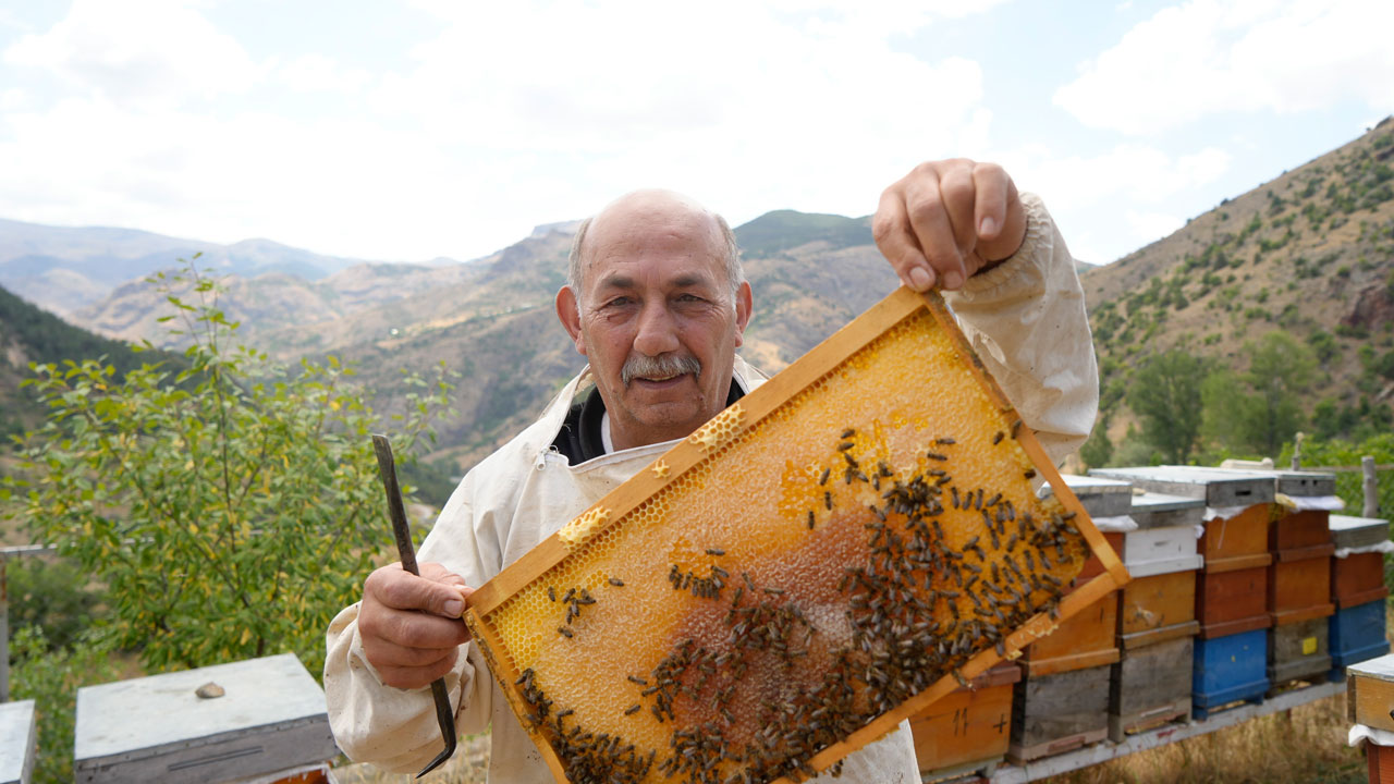 Foto - Anzer balına meydan okudu! Bu bal şifa saçıyor