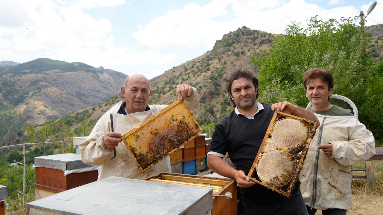 Foto - Anzer balına meydan okudu! Bu bal şifa saçıyor