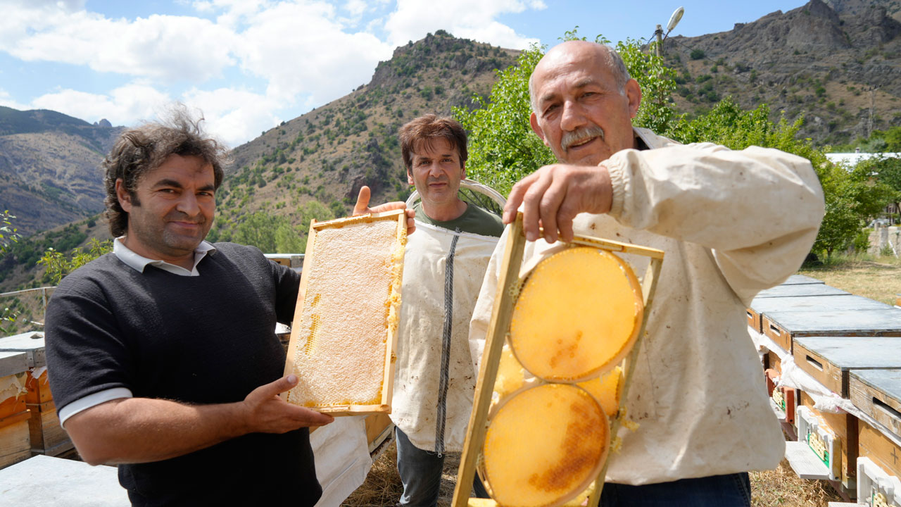 Foto - Anzer balına meydan okudu! Bu bal şifa saçıyor