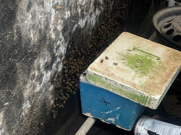 Foto - Apar topar ona haber verdi | Dükkanının kapısını açan esnaf şaşkın