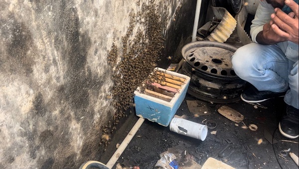 Foto - Apar topar ona haber verdi | Dükkanının kapısını açan esnaf şaşkın