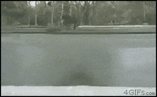 Foto - Araba kameralarına yakalanan tuhaf görüntüler