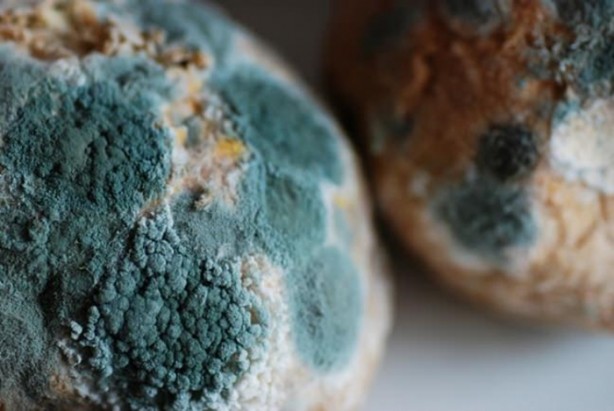 Foto - Arabanızdaki kötü kokuların sebebi bu olabilir!