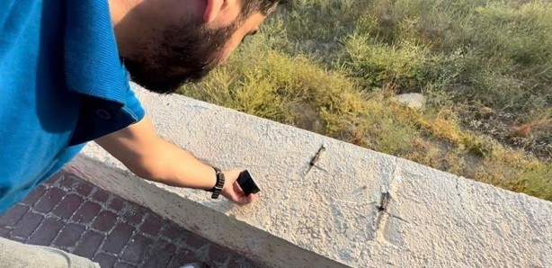 Foto - Arabasında buldu! İnsan yüzünü andıran böcek görenleri hayrete düşürdü