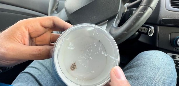 Foto - Arabasında buldu! İnsan yüzünü andıran böcek görenleri hayrete düşürdü