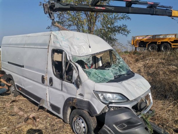 Foto - Araç kullanırken köpeği üzerine atladı!