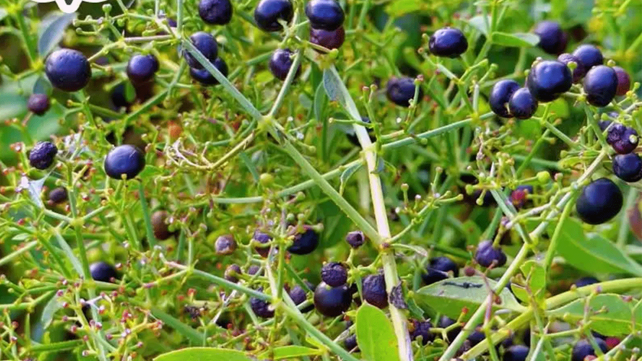 Foto - Arabadaki çizikler nasıl giderilir! İşte etkili yöntemler!