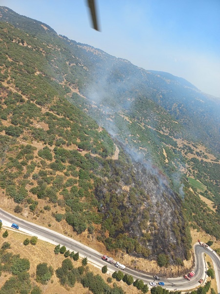 Foto - Araç yangını ormana böyle sıçradı