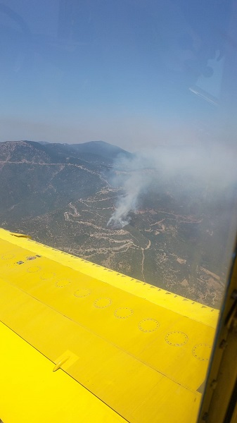 Foto - Araç yangını ormana böyle sıçradı