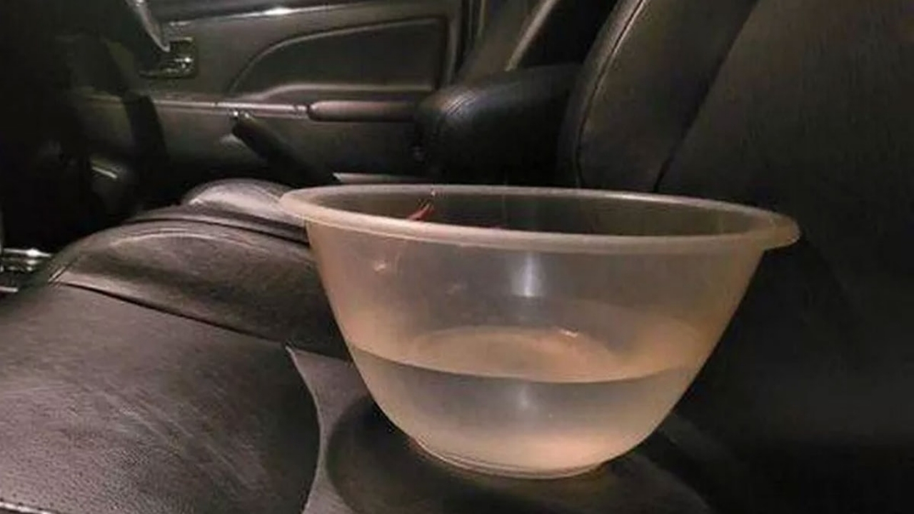 Aracınıza bir kase su koyun, yakıt tasarrufunu izleyin! "Vay be" diyeceksiniz