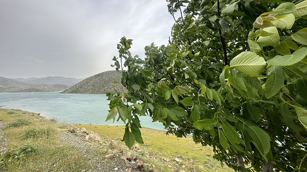 Foto - Aradaki farkı bulabilecek misiniz? 2 yıl arayla aynı baraj