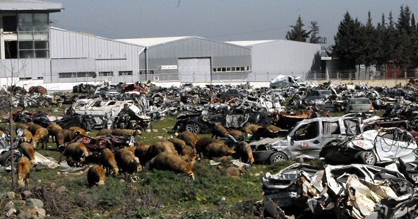 Foto - Araların koyunlar otluyor! Bu araçlar hala sahiplerini bekliyor