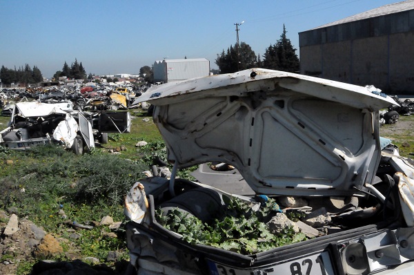 Foto - Araların koyunlar otluyor! Bu araçlar hala sahiplerini bekliyor