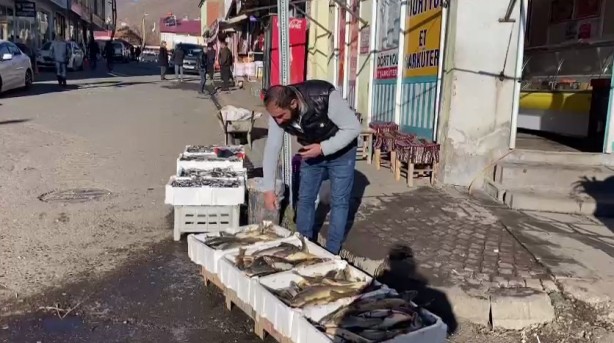 Foto - Aralık ayı da bitti, Karlıova’da beklenen kar yağmadı