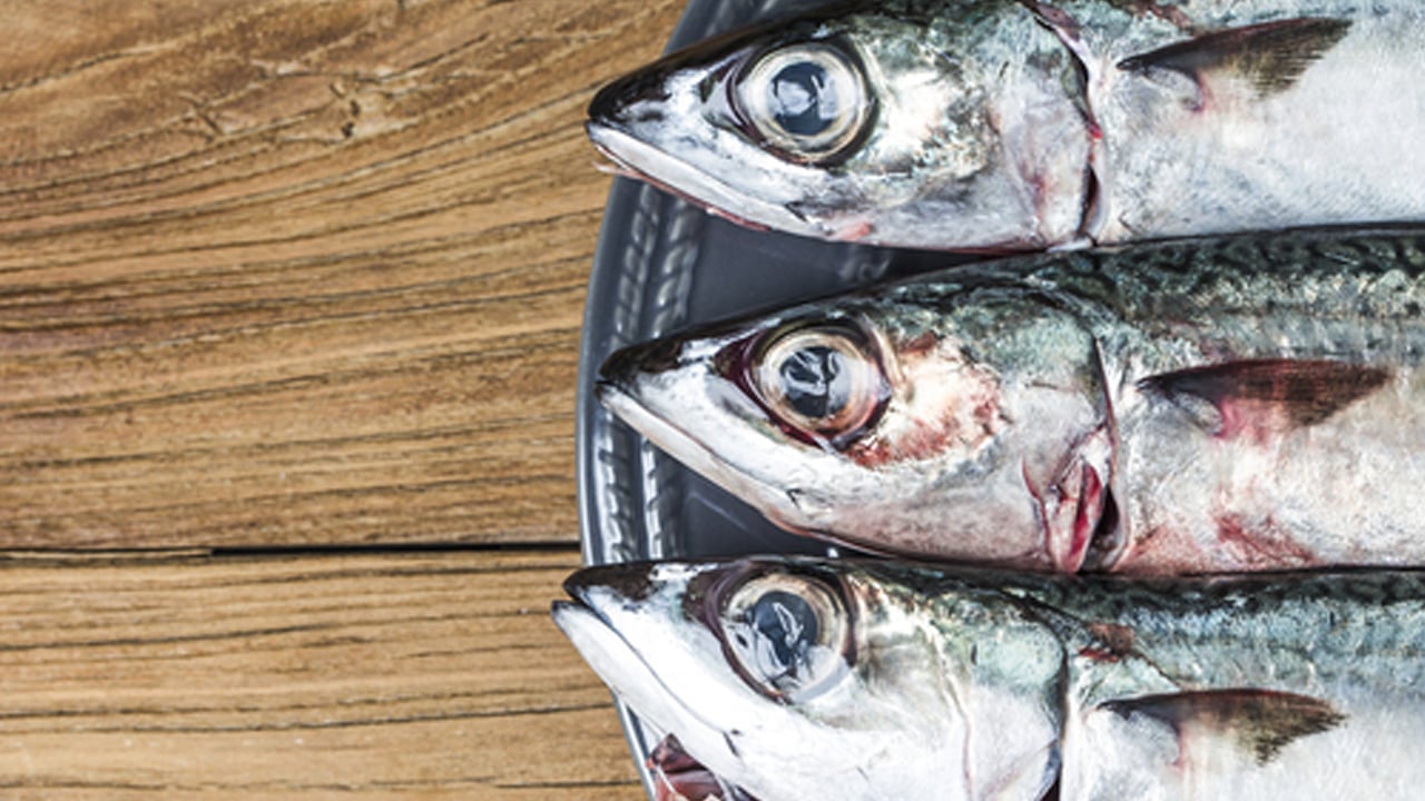 Aralık ayında hangi balık yenmeli? Ne zaman balık yenmeli! Bakın ilişkin yeni bilgiler ortaya çıktı