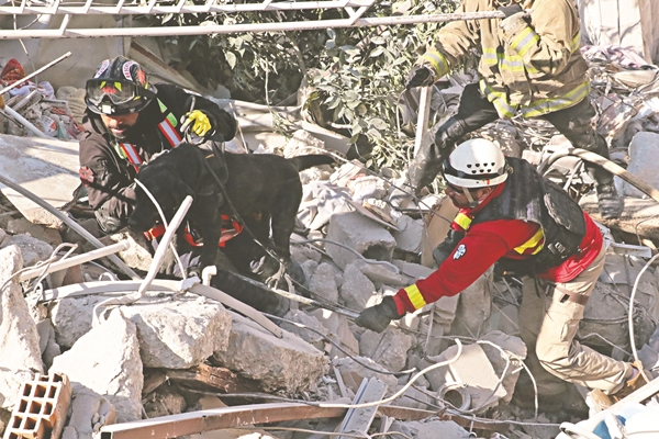 Arama kurtarma köpekleri yüzlerce cana umut oldu