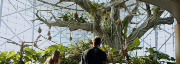 Foto - Arap yetkili emri verdi! BAE'nin Engin Altan Düzyatan hamlesi gündeme oturacak