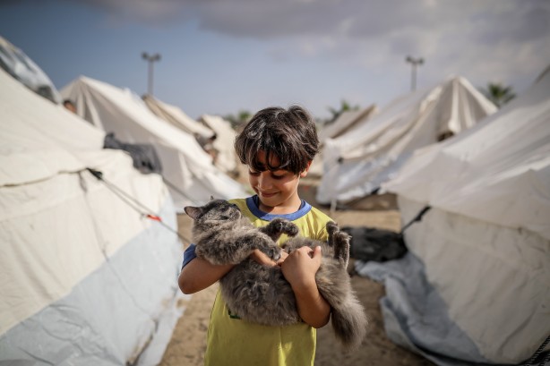 Foto - Arap Birliğinden birçok hükümete çağrı: Uluslararası topluma İsrail'in Gazze'de işlediği suçları durdurun
