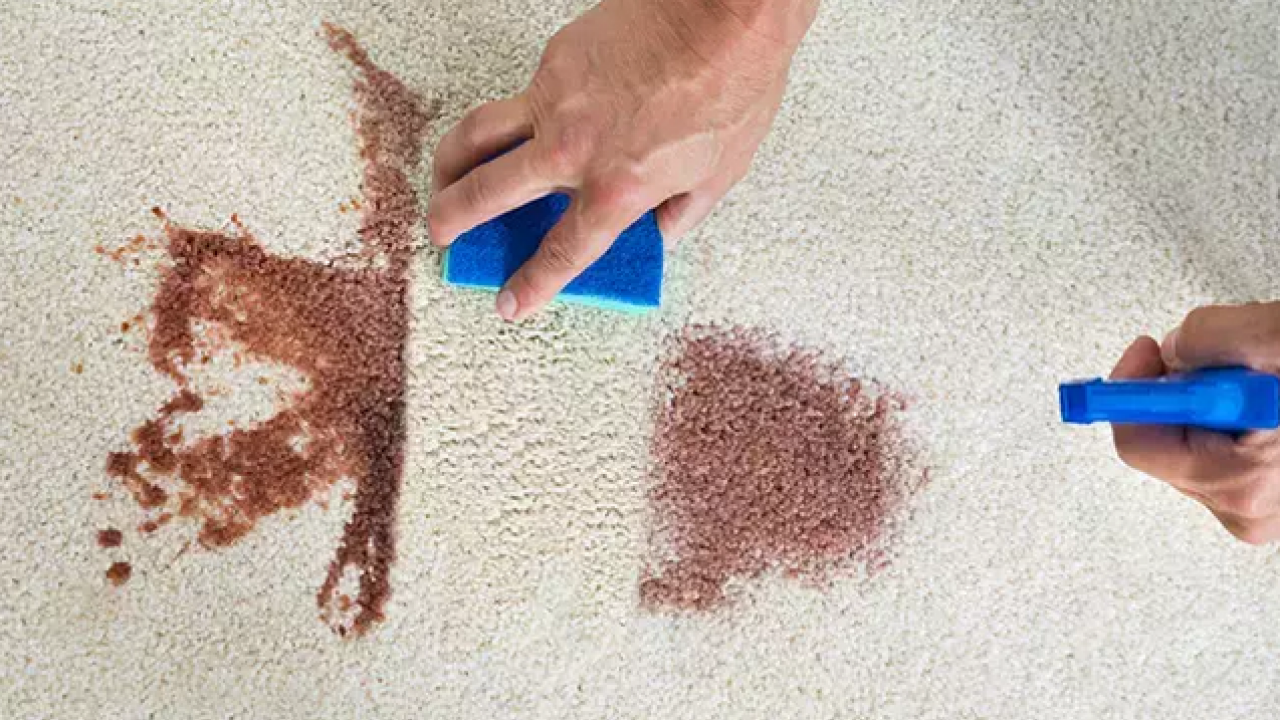 Foto - Arap sabunu ile halılar tertemiz, yıkamacıya gitmeyin! Kimyasal yok, masraf yok! Üç malzemeyle son verin