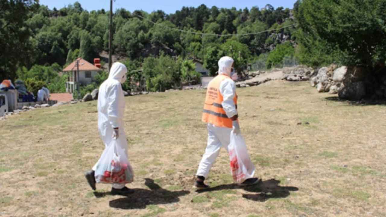 Foto - Arap ülkesi Türkiye'den tavuk ve yumurta alımını acil olarak durdurdu