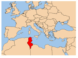 Foto - Arap ülkesinde Türk bayrağı göndere çekilince ortalık karıştı! Tutuklamalar başladı
