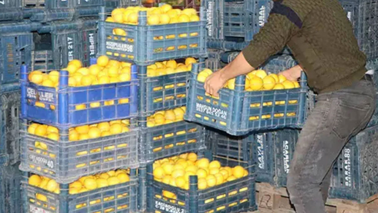 Foto - Arap ülkesinden çılgın Türkiye kararı! Ankara'dan tonlarcasını istediler, 'çıkanı yollayın' diyorlar