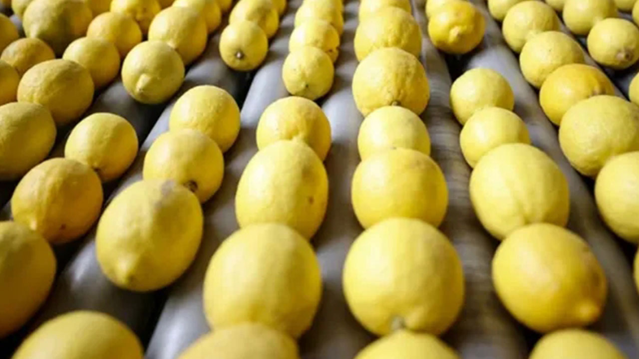 Foto - Arap ülkesinden çılgın Türkiye kararı! Ankara'dan tonlarcasını istediler, 'çıkanı yollayın' diyorlar