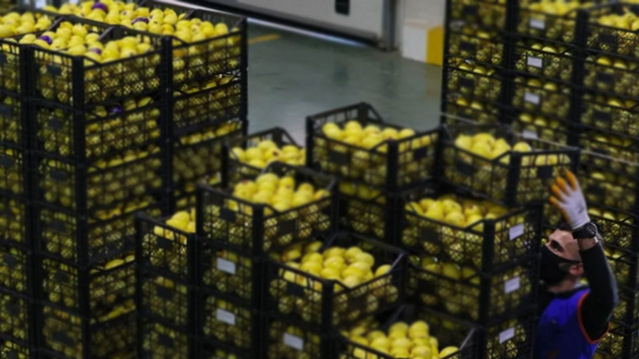 Arap ülkesinden çılgın Türkiye kararı! Ankara'dan tonlarcasını istediler, 'çıkanı yollayın' diyorlar