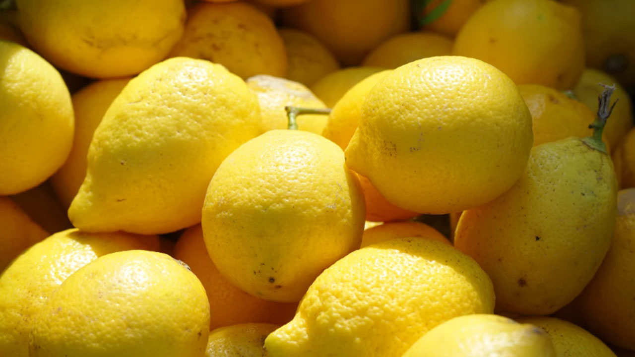 Foto - Arap ülkesinden çılgın Türkiye kararı! Ankara'dan tonlarcasını istediler, 'çıkanı yollayın' diyorlar