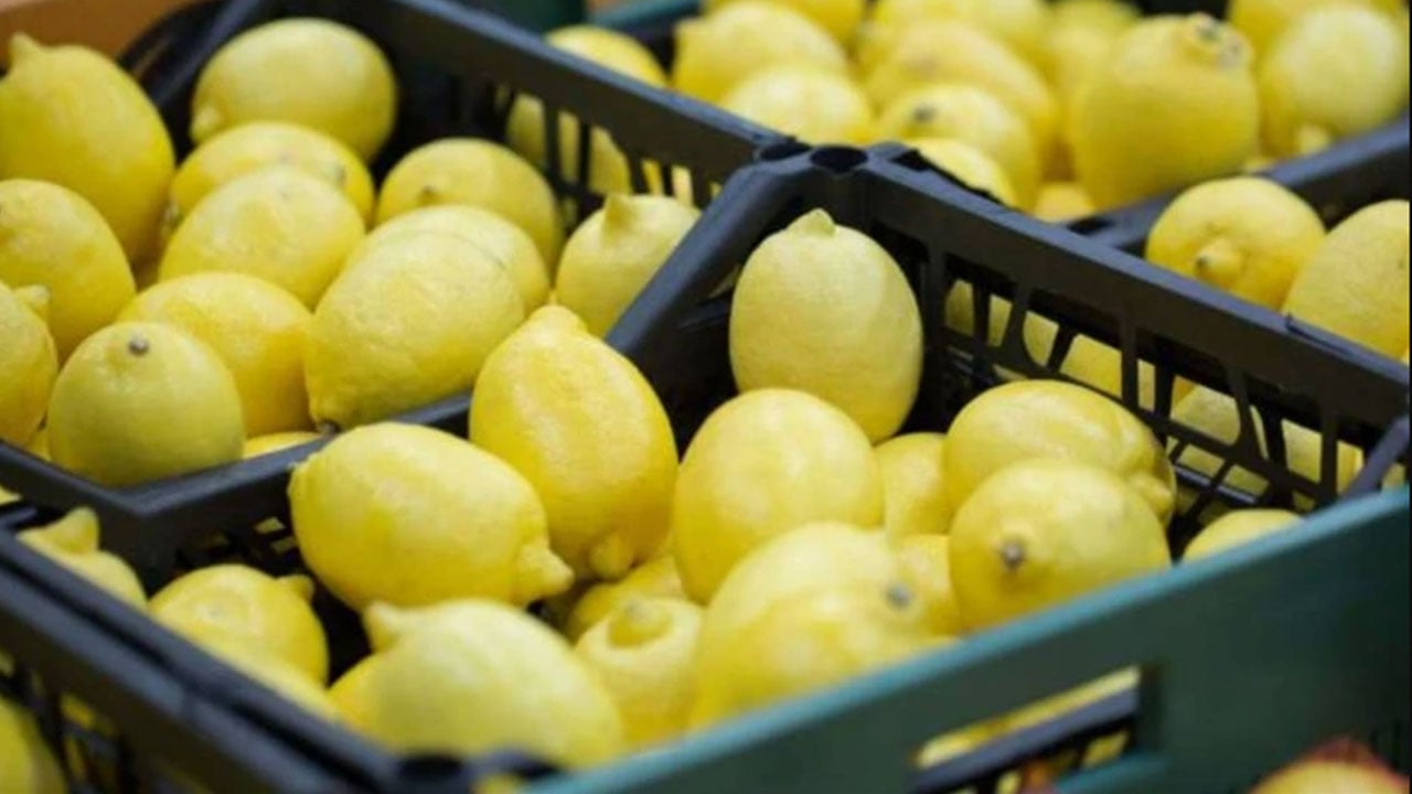 Foto - Arap ülkesinden çılgın Türkiye kararı! Ankara'dan tonlarcasını istediler, 'çıkanı yollayın' diyorlar