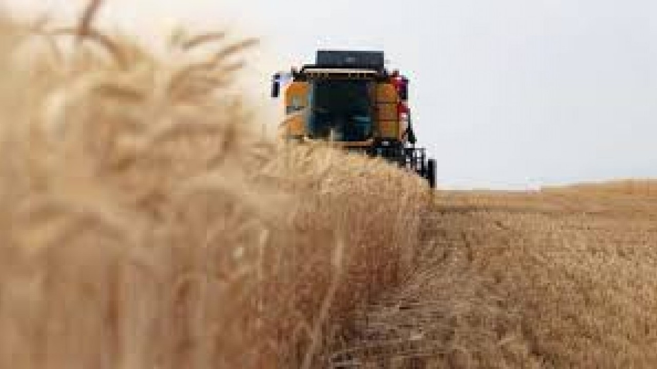 Foto - Arap ülkesinden Türkiye'ye büyük ayıp! Ambargo kararı aldılar